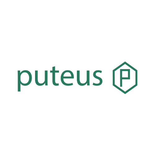 puteus